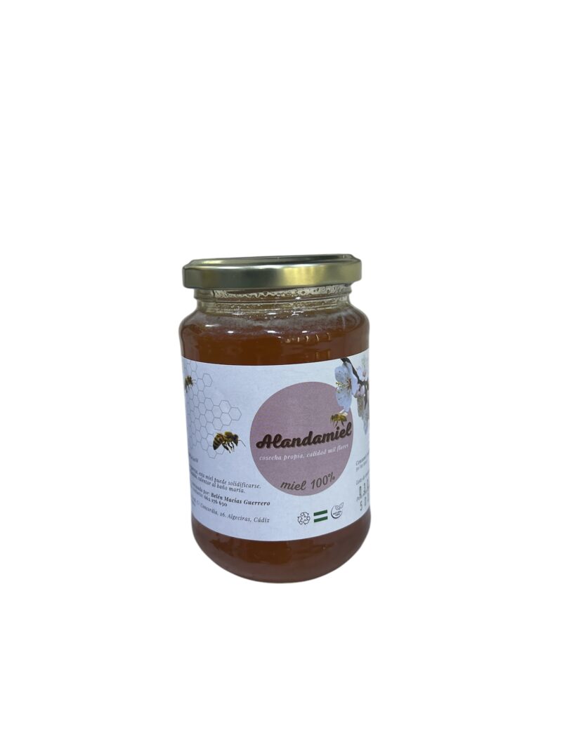 Miel pura alandamiel 500g